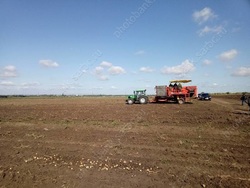 В регионе принят закон о семейном предпринимательстве