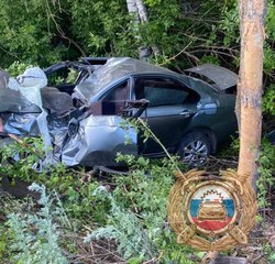 Лифан вылетел с дороги и врезался в дерево, водитель в больнице