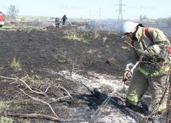 Сухое лето-2024: число природных пожаров увеличились на четверть