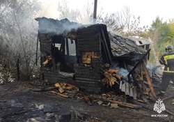 На пожаре в садоводческом товариществе пострадал сторож