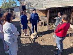 Прокуратура снова проверяет собачий приют Рич