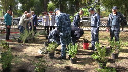 В сквере имени Михаила Гадеева высадили 101 дерево