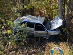 Четырнадцатая съехала в кювет и врезалась в дерево