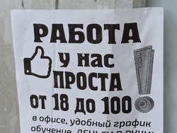 На областном рынке труда активизировались возрастные и юные соискатели