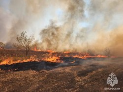 Из-за заискрившего трансформатора выгорело сухое поле