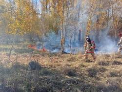 В трёх районах 100 человек борются с природными пожарами