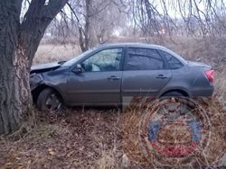 'Гранта' с двумя детьми врезалась в дерево