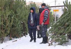 В городе заработали ёлочные базары