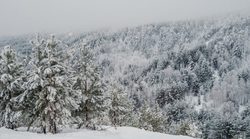 Кинодеятелям покажут новые площадки для съемок в области