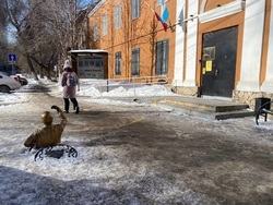 Погода будет безветренной