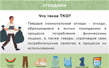 Красноярцам напомнили, какие отходы запрещено складывать в мусорные контейнеры