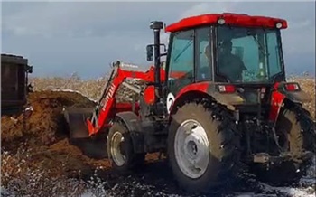 В Красноярском крае агрохозяйство загрязнило почву кишечной палочкой и яйцами гельминтов