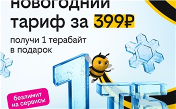 Оператор билайн к Новому году предложил действующим и новым клиентам тарифы с терабайтом интернета