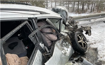 В Емельяновском районе спасатели помогли серьезно пострадавшей в ДТП с грузовиком семье