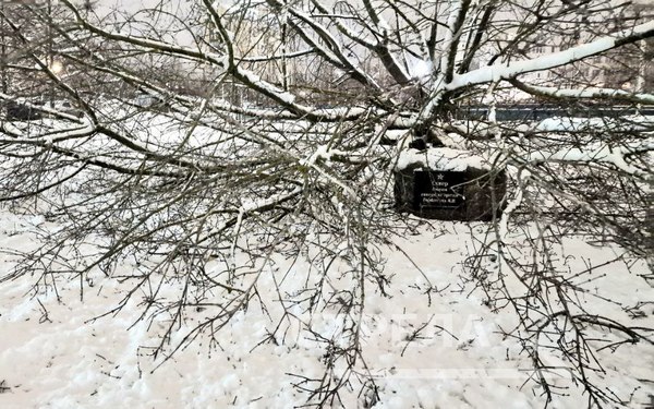 В Брянске снежная каша во дворах жилых домов доставила горожанам много проблем