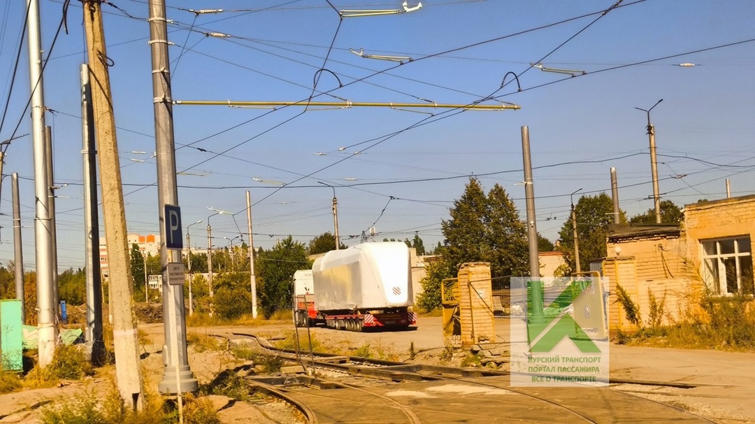 В Курск поступили новые Львята