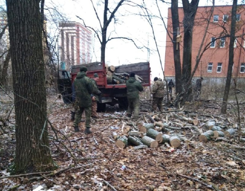 В Курске в районе СНТ «Дружба» прошла заготовка дров для военнослужащих