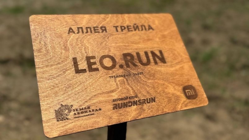 Кедровую аллею Leo.Run высадили на территории приморского нацпарка Земля леопарда