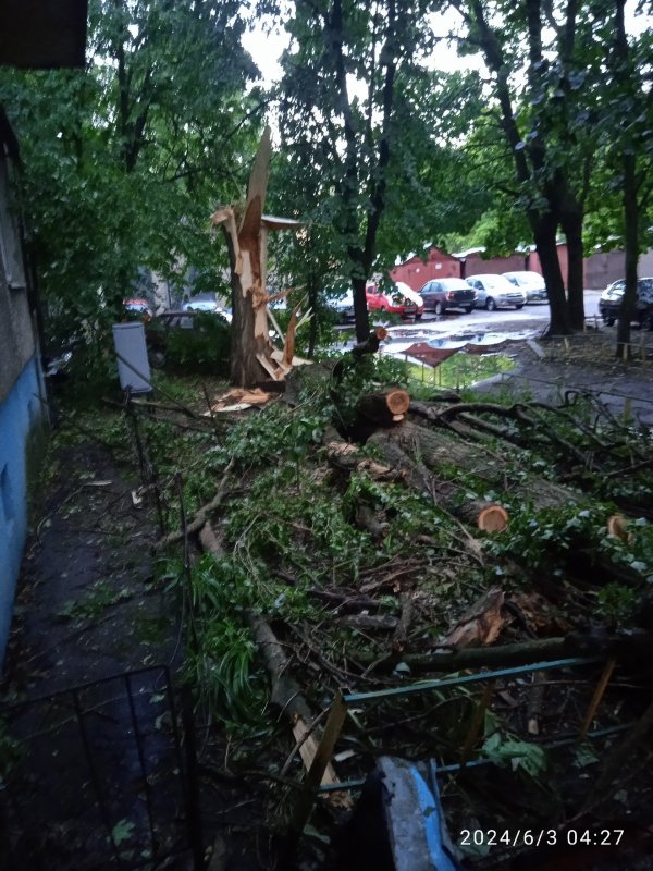 В Курске разгребают последствия мощного ливня