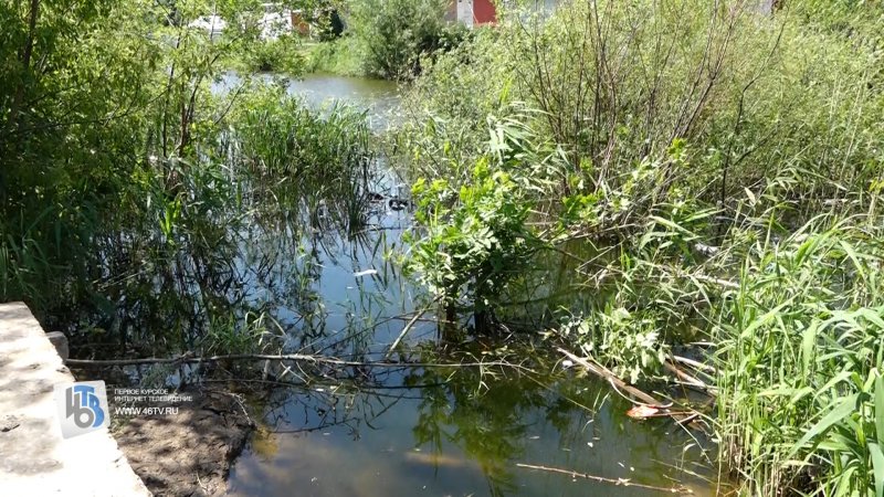 В Курске озеро в сквере на Студенческой может не дождаться благоустройства