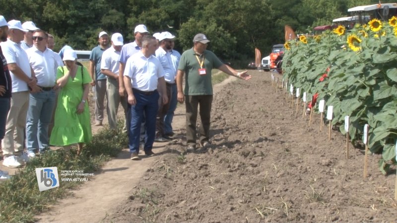 Депутаты областной Думы в полях оценили развитие курской селекции