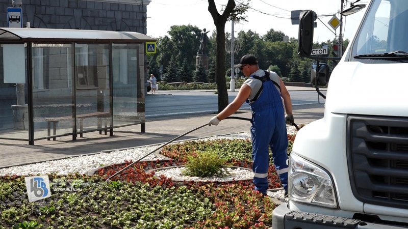 В Курске растения в жару поливают более 10 спецмашин