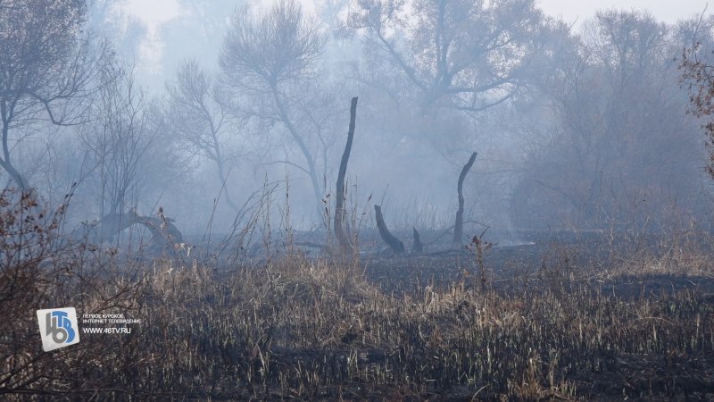 Жители Курска задыхаются от дыма горящих в пригороде торфяников