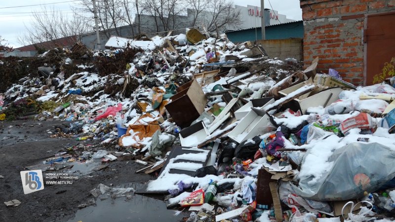 В Курске свалка на Литовской пугает жильцов бесстрашными крысами и пожарами