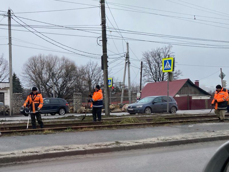 В Курске на Литовской в конце декабря начали покос бурьяна