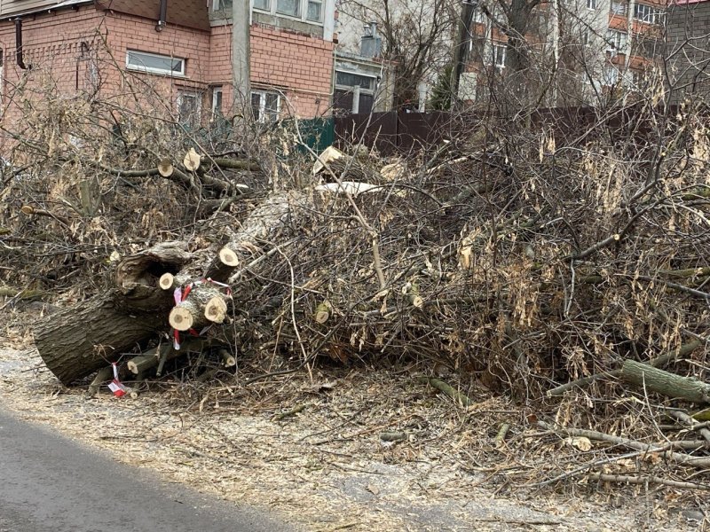 В Курске на дороге на Семёновской устроили свалку веток и пней