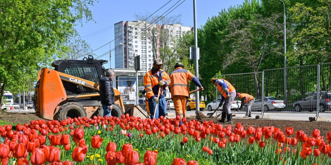 Участие в благоустройстве Москвы станет привлекательнее для бизнеса