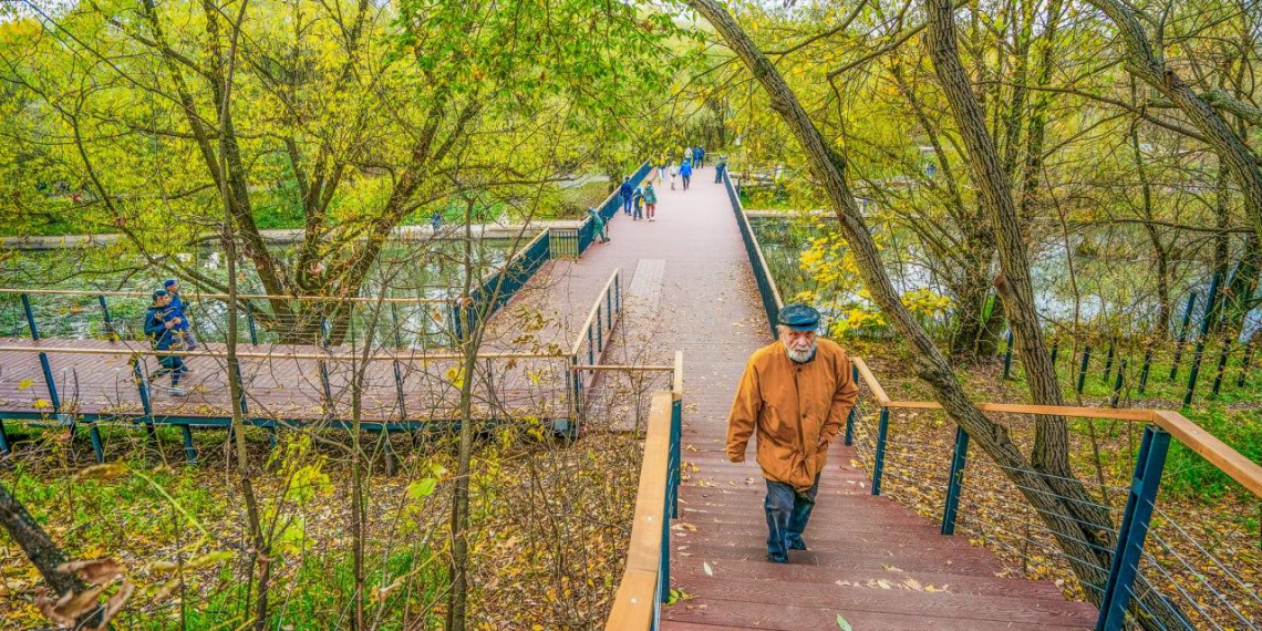 20 километров вдоль реки: в Москве создали крупнейший линейный парк в Европе