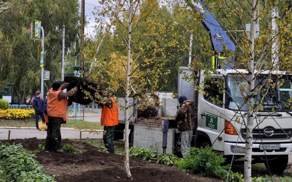 Безработных в Алтайском крае будут привлекать к общественно полезным делам