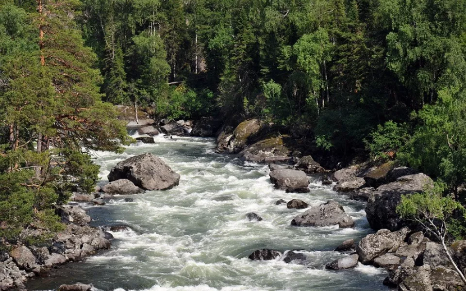 В Алтайском заповеднике закрывают маршрут на крупный каскадный водопад Учар