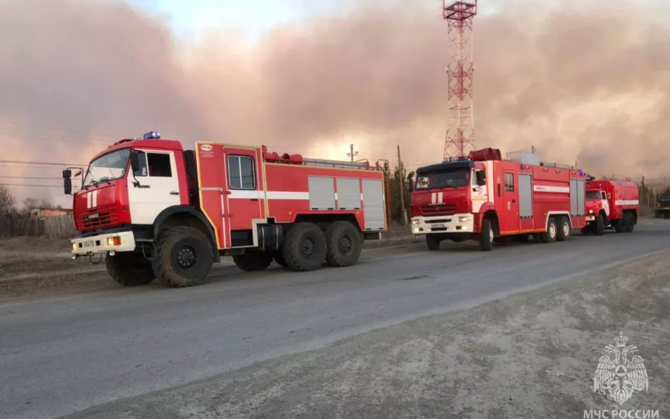 Горит по плану. В Алтайском крае полыхает поле недалеко от заправки