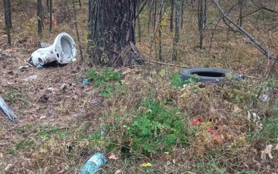 В Бийске под сосной нашли унитаз: лес превратили в свалку. Фото