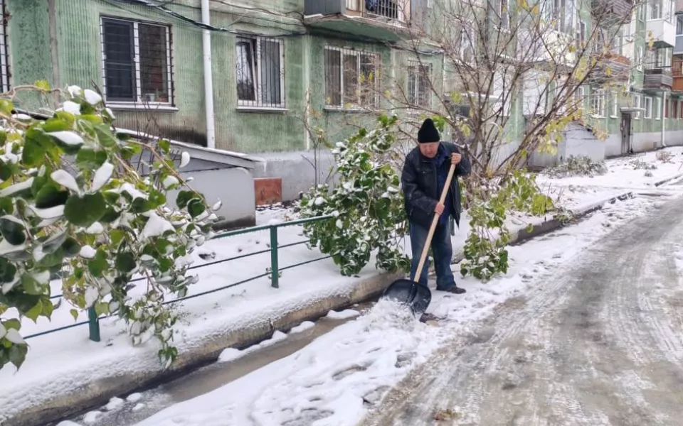 Снег с порывистым ветром накроют Алтайский край 29 октября