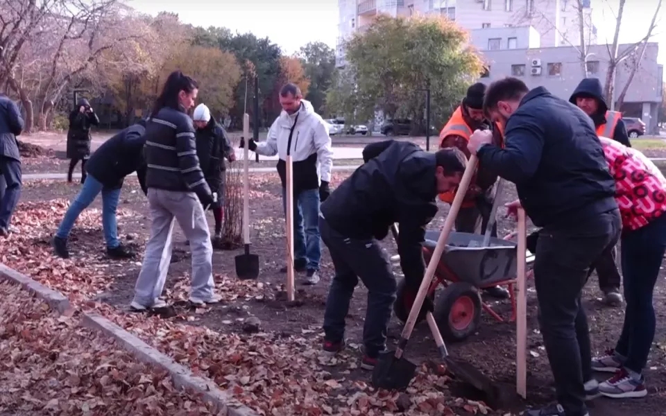 Сохраним лес вместе: компания СибТара высадила деревья в молодом сквере Барнаула