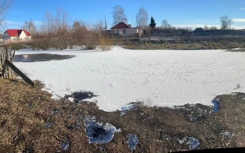 В Алтайском крае маленькая девочка утонула в глубокой луже