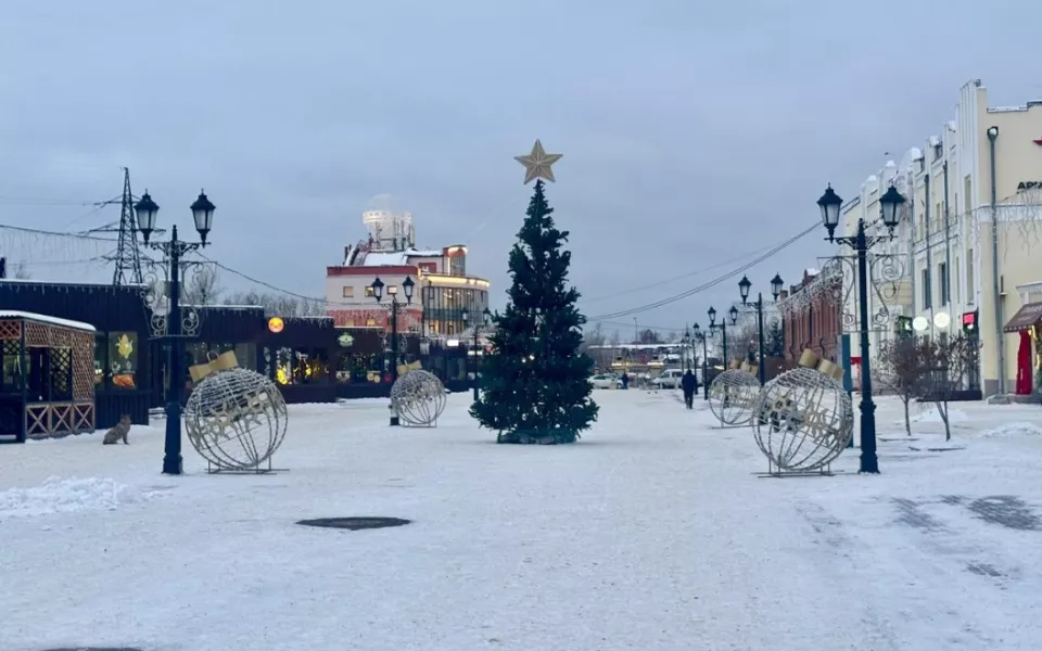 Новогодняя ель и первые украшения появились на барнаульском Арбате