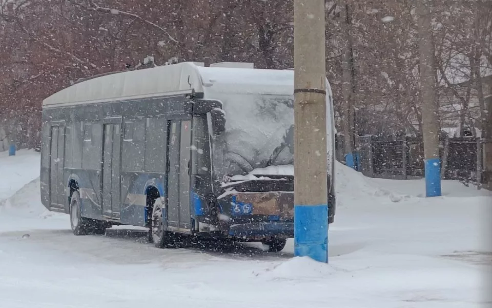 Барнаульцы заметили на улице новый троллейбус 'Авангард'. Фото