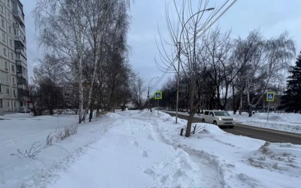 Жители Алтайского края жалуются на нечищенные от снега дороги. Видео