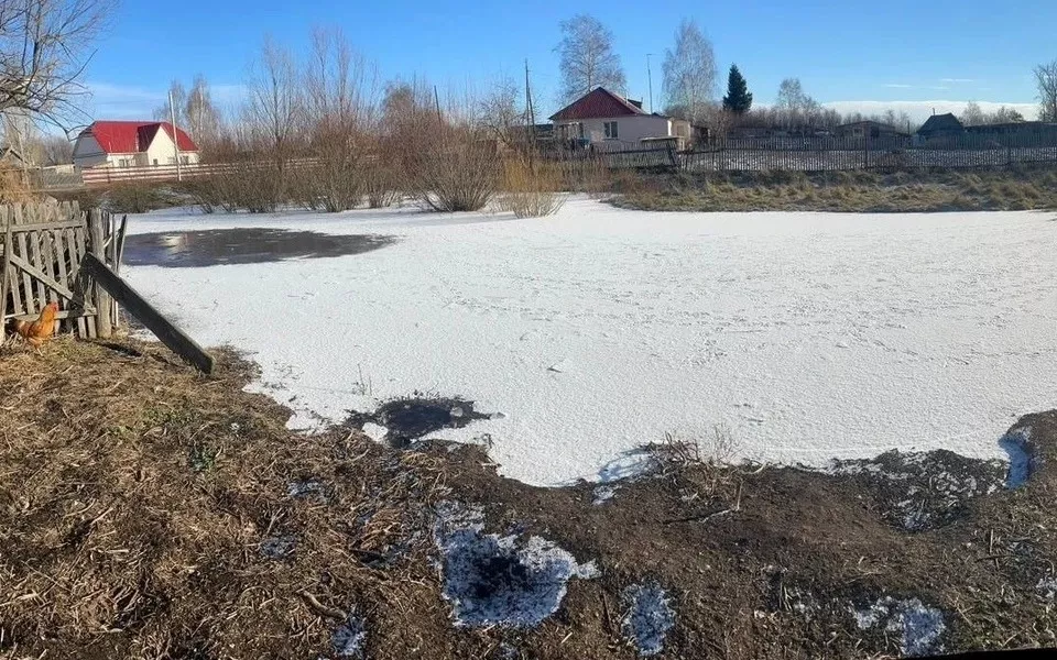 Жительницу алтайского села судят за смерть утонувшей в луже двухлетней дочери