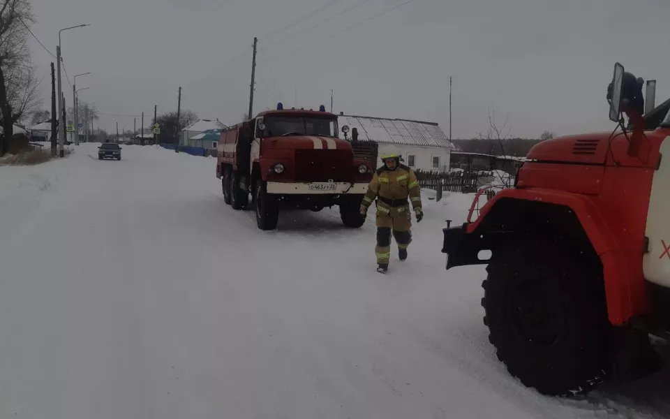 Алтайские пожарные спасли котенка из полыхающего дома