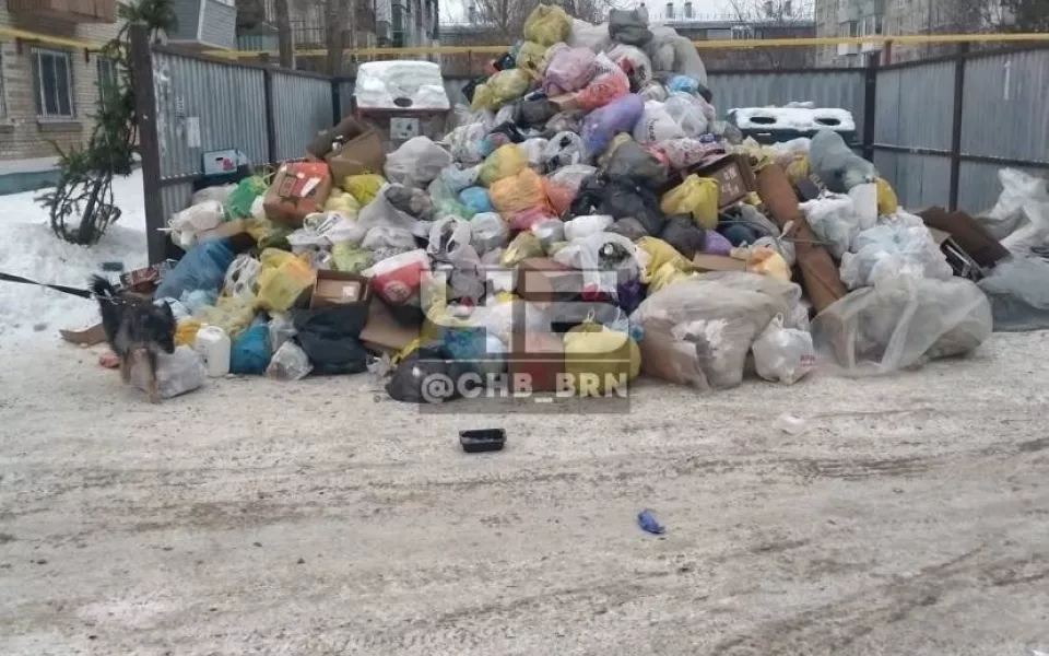 Барнаульцы пожаловались на залежи мусора во дворах домов