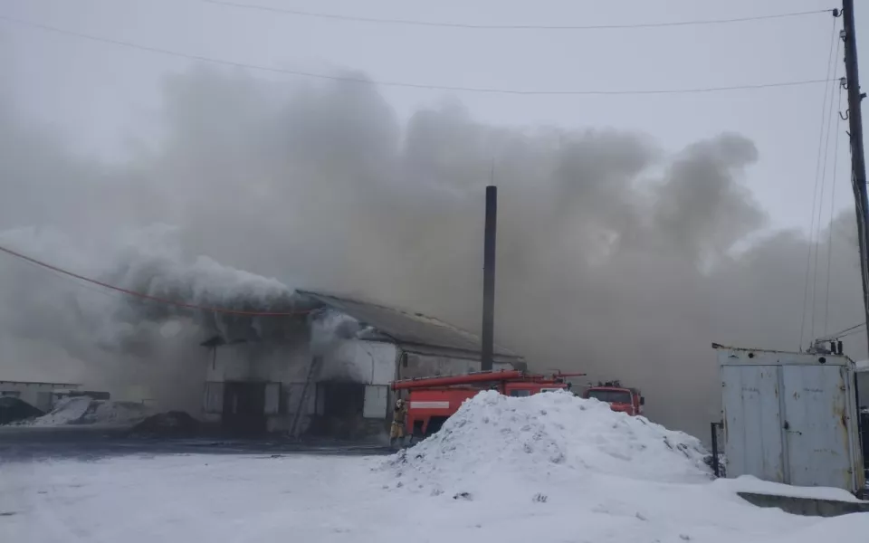 На Романовском маслосыродельном заводе произошел крупный пожар на 280 'квадратов'