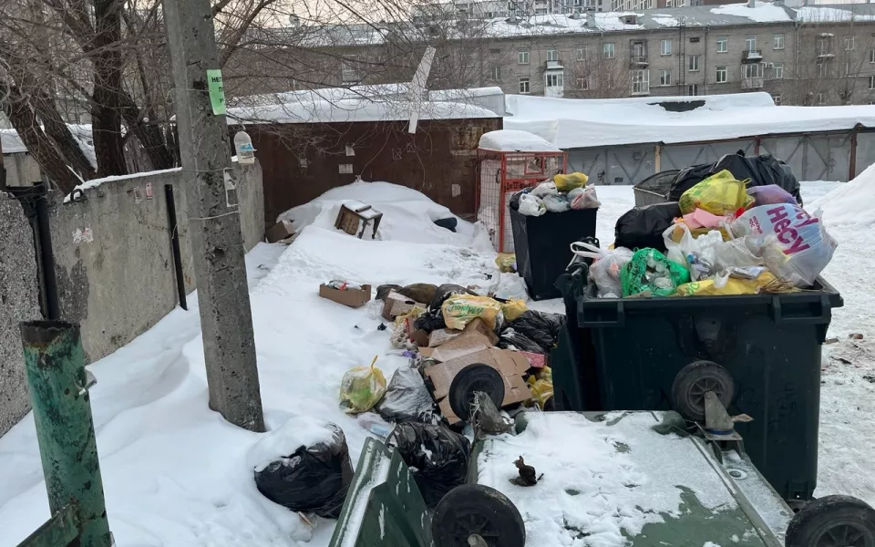 'Просто стыдно': у поликлиники в самом центре Барнаула копятся кучи мусора. Фото