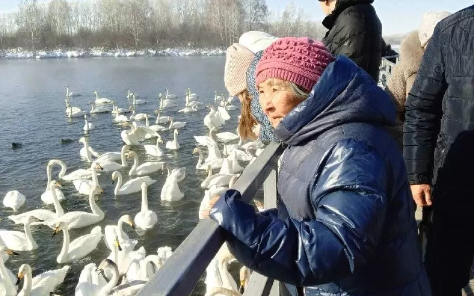 Жители алтайского дома-интерната полюбовались на птиц в заказнике Лебединый