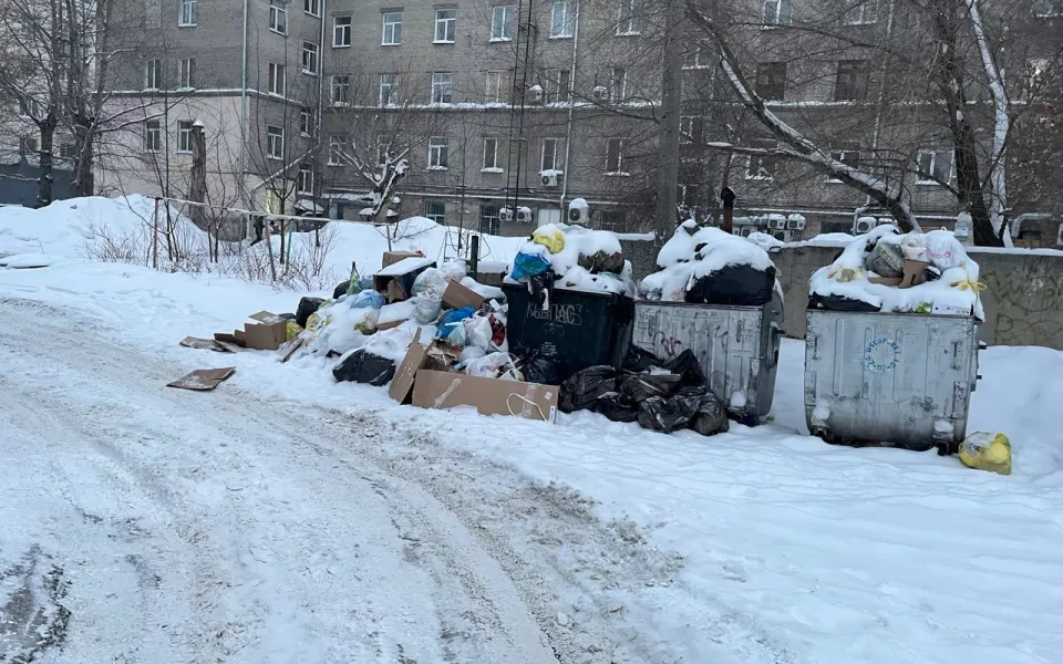 Две недели в свинарнике: в Барнауле не могут убрать мусор у детской поликлиники