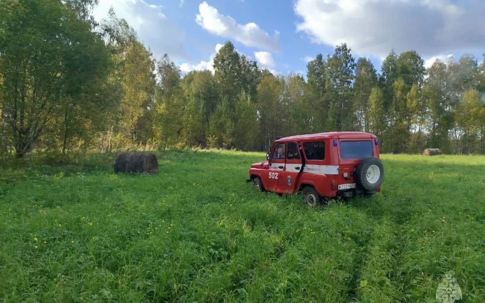 В лесах Алтайского края за день заблудились двое грибников